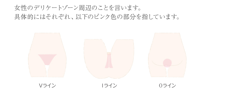 女性のデリケートゾーン周辺の事を言います。具体的にはそれぞれ、以下のピンクの部分を指します。